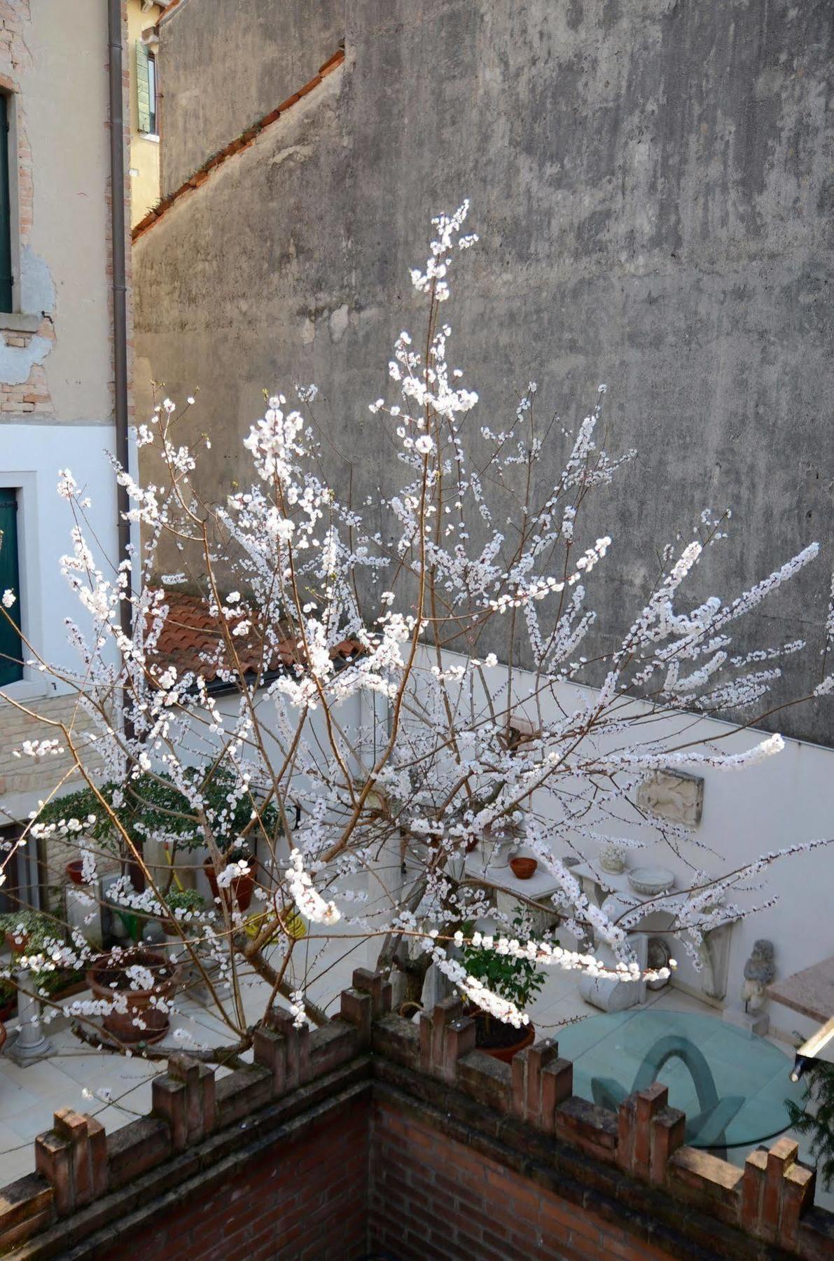 Alloggi Barbaria Guest house